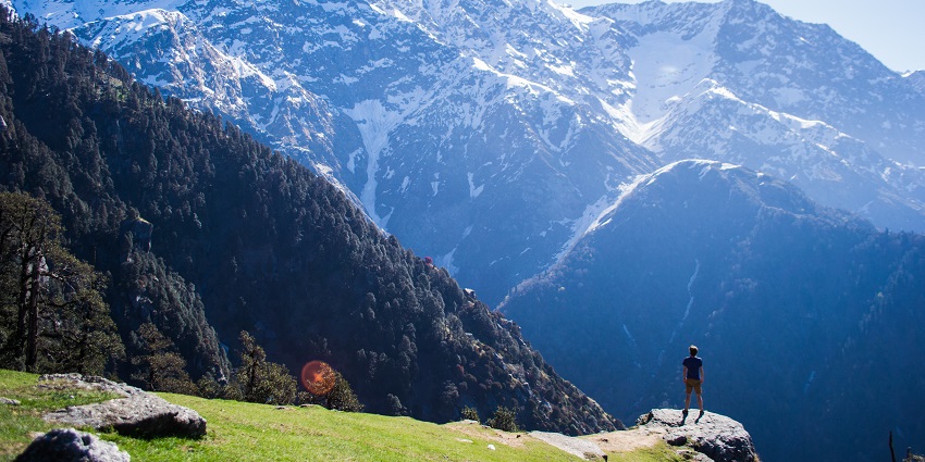 Bird Watching At McLeodGanj is a serene activity enjoyed by tourists who love to be in the lap of nature.