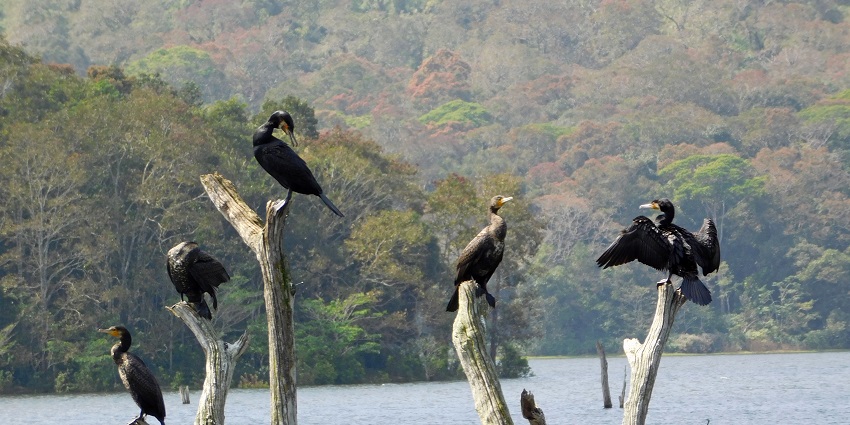 This national park is a must-visit destination for animal lovers on their trip to Mizoram