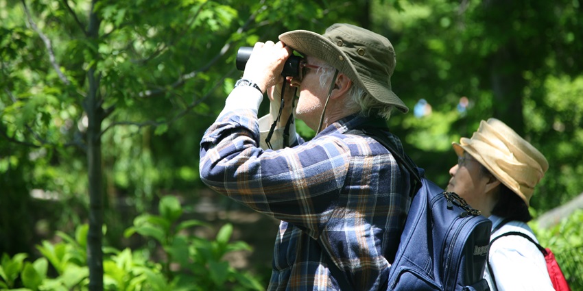 Penang National Park is a delight for birdwatchers that can monitor movement of birds.
