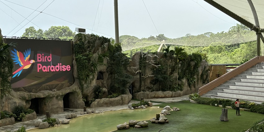 An expansive bird sanctuary with a blanket of lush greenery all around