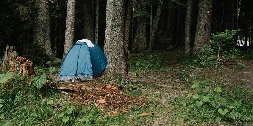The view of a tent in the dense forests and tranquil setting in Kerala.