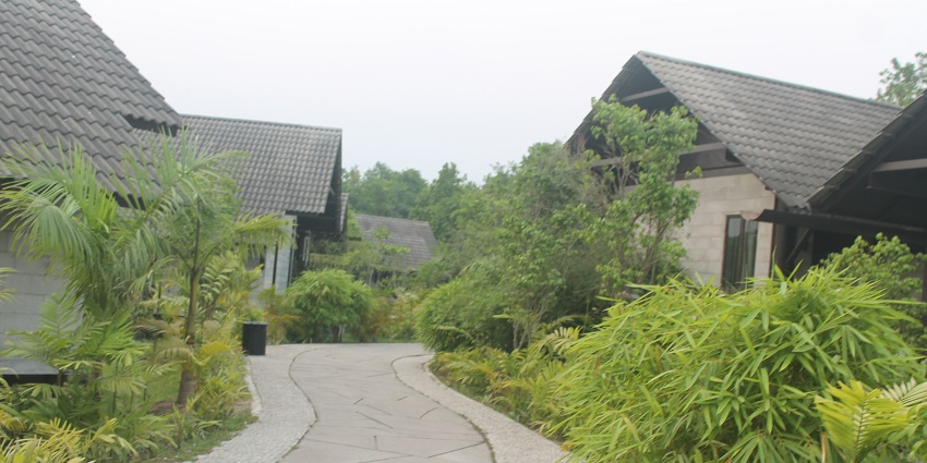 Scenic image of the beautiful resort somewhere—New Year Party In Wayanad, Kerala