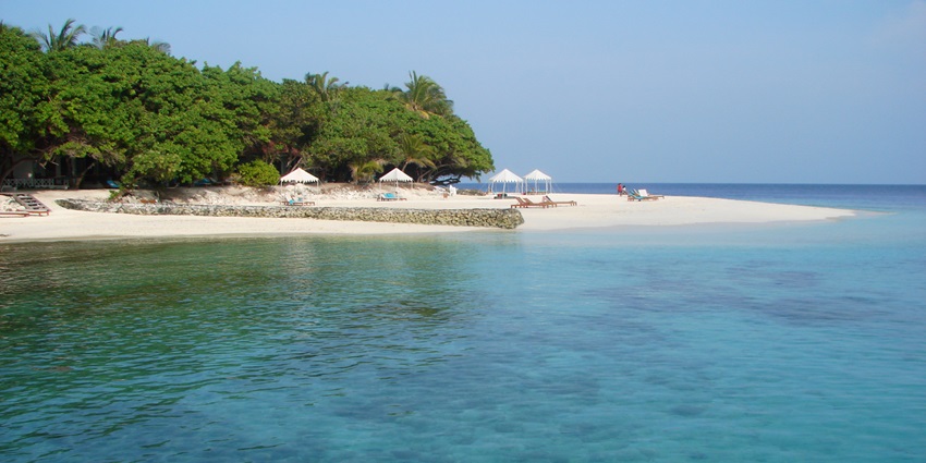 Panoramic view of a Maldivian beach with turquoise waters and palm trees.
