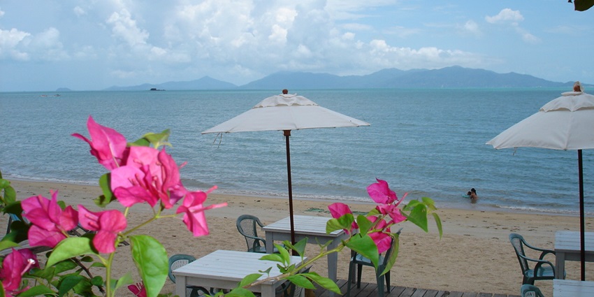 Tranquil Bophut Beach with calm waters, palm trees, and a peaceful shoreline.