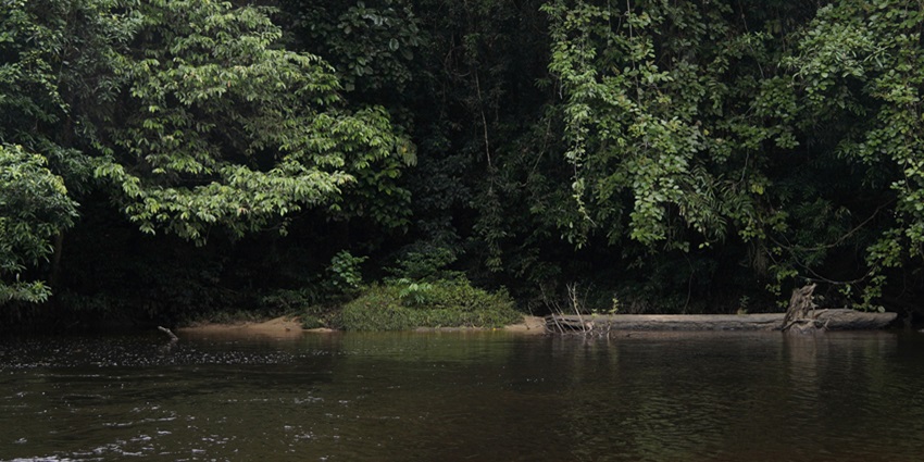Borneo is one of the largest Indonesian islands for travellers to visit and explore.