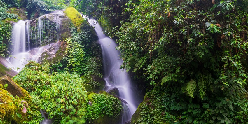 Borong, a small and serene village, is one of the best offbeat places to visit in Sikkim.