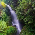 Scenic snapshot of the majestic Waterfall amidst the dense forest of the Borong village