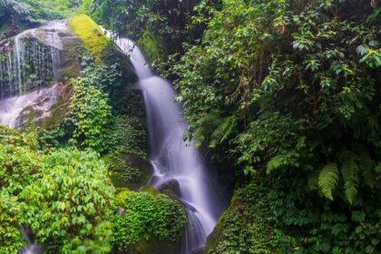 Scenic snapshot of the majestic Waterfall amidst the dense forest of the Borong village