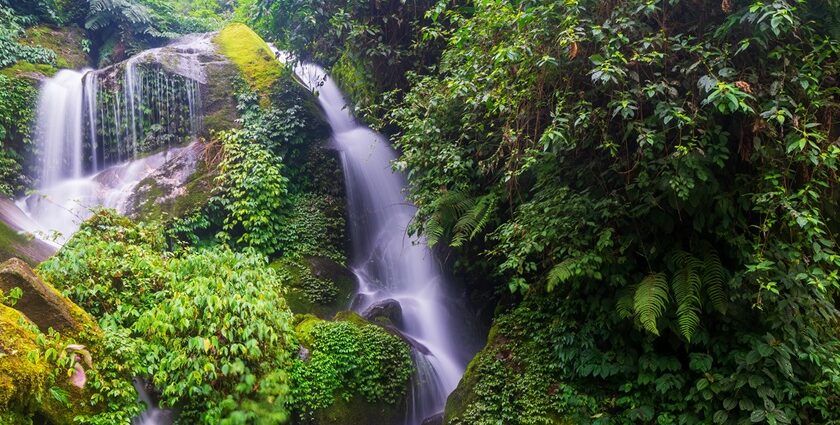 Scenic snapshot of the majestic Waterfall amidst the dense forest of the Borong village