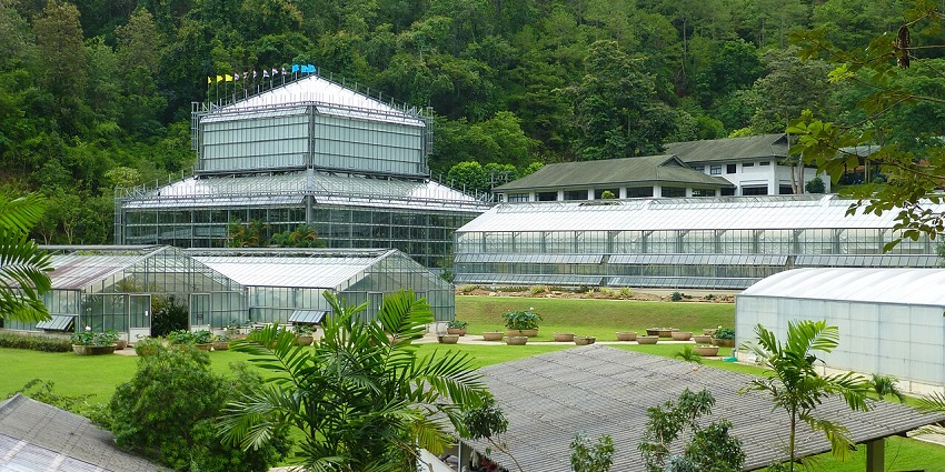 Beautiful landscapes of Queen Sirikit Botanic Garden, showcasing diverse plant collections.