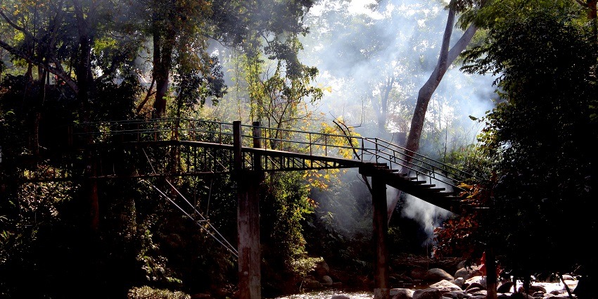 Through the canopy sunlight reflecting on an awestruck beautiful bridge in Forest