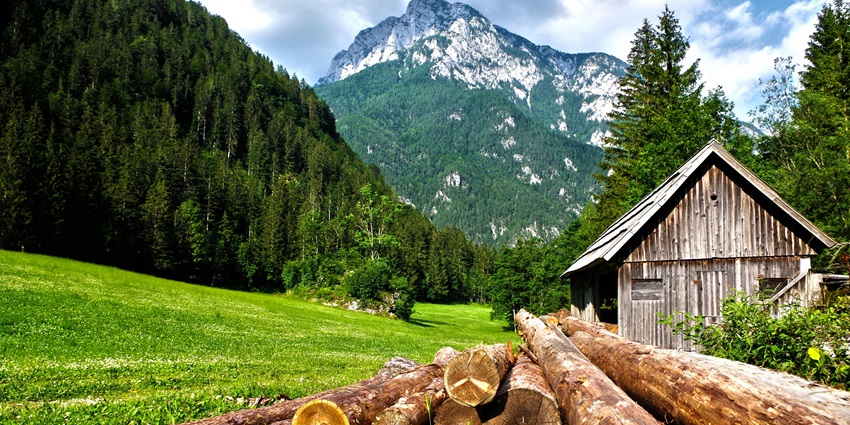 A serene field with brown logs scattered across lush green grass under a clear sky.