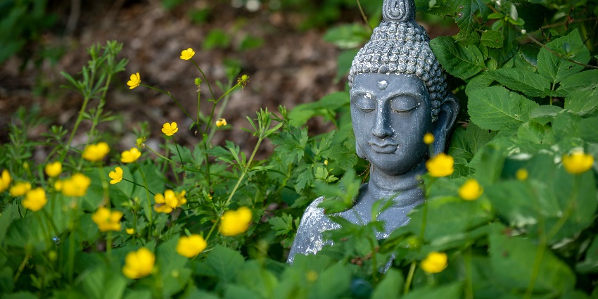 Buddha Garden is one of the best tourist attractions for every traveller to visit.