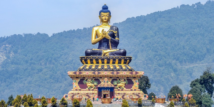 A majestic Buddha statue in the centre of a lush green park, located near Ralong Hot Springs