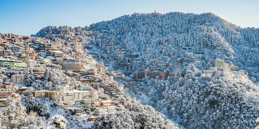 Beautiful snapshot of a village covered in the snow laden pine trees in the Hills