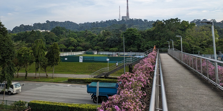 Bukit Timah Nature Reserve is one of the best trekking Singapore destinations for all.