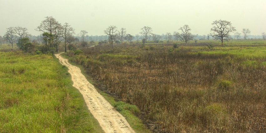Image of the beautiful grasslands of the Assam — Best places to visit in Kaziranga