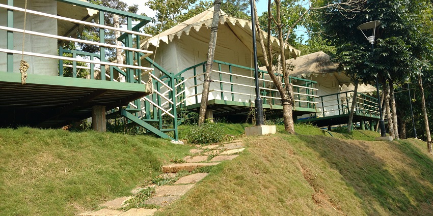 Snapshot of the hill resort amidst the dense forest of Wayanad–New year party in Wayanad