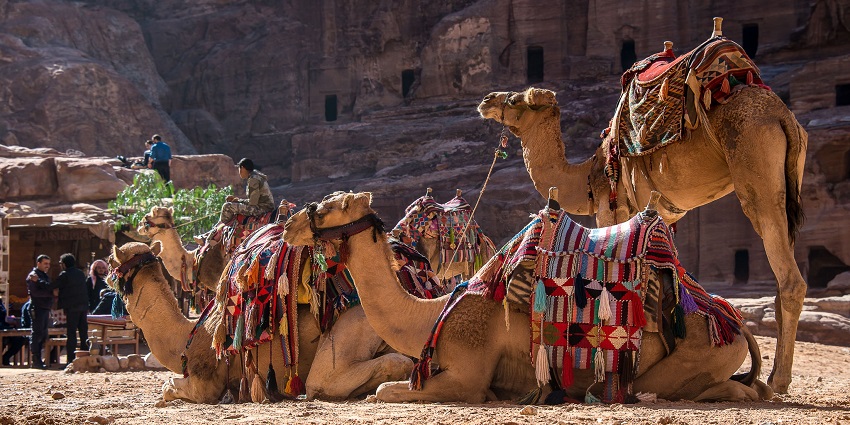 Activities like camel racing and dune bashing entertain people during the desert safari Abu Dhabi.