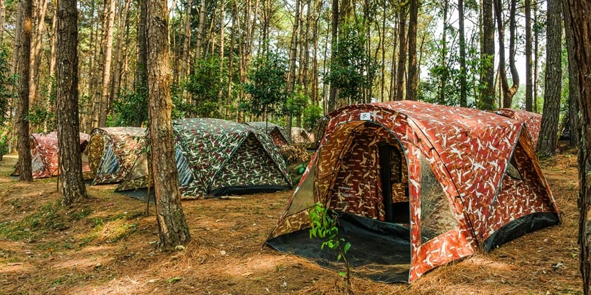 Camping amidst the lush landscapes is one of the best activity for thrill seekers