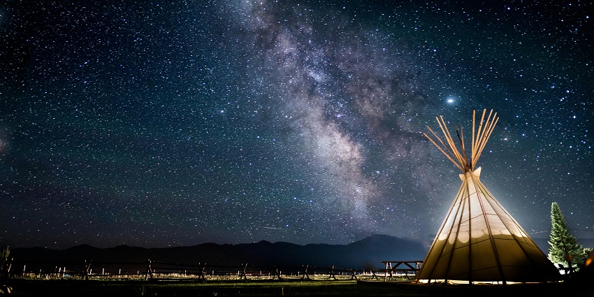 A breathtaking view of a camp under the canopy of stars at night with a tree on the side.