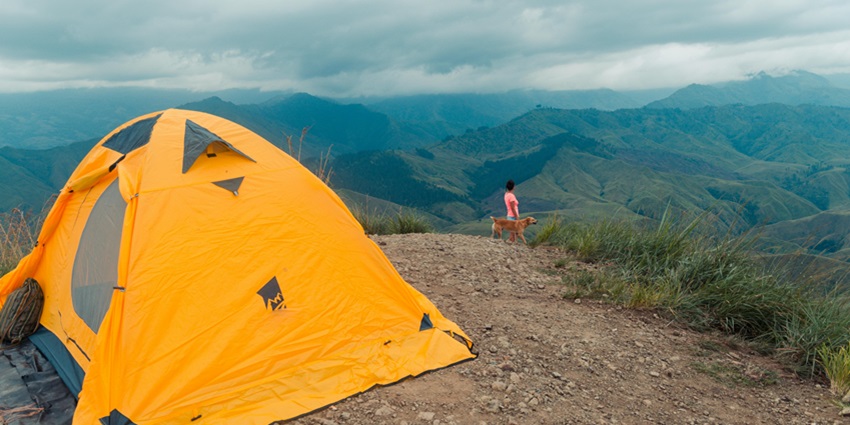 A view of a person standing near a cliff with a dog and a camp tent at the back.