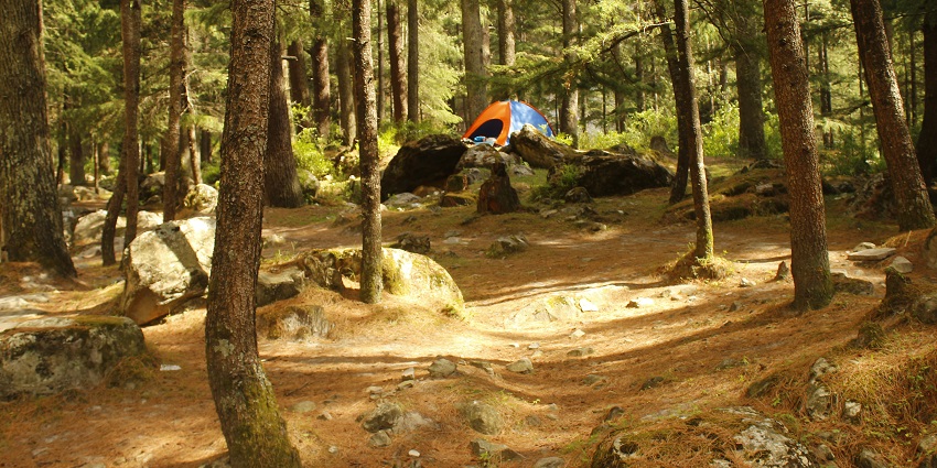 Nature Park Kasol offers many scenic views of lush vegetation, pines and rivers, worth capturing