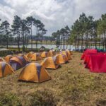 Campsite with tents, colourful lights, and festival atmosphere - camping in Meghalaya.