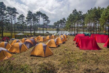 Campsite with tents, colourful lights, and festival atmosphere - camping in Meghalaya.