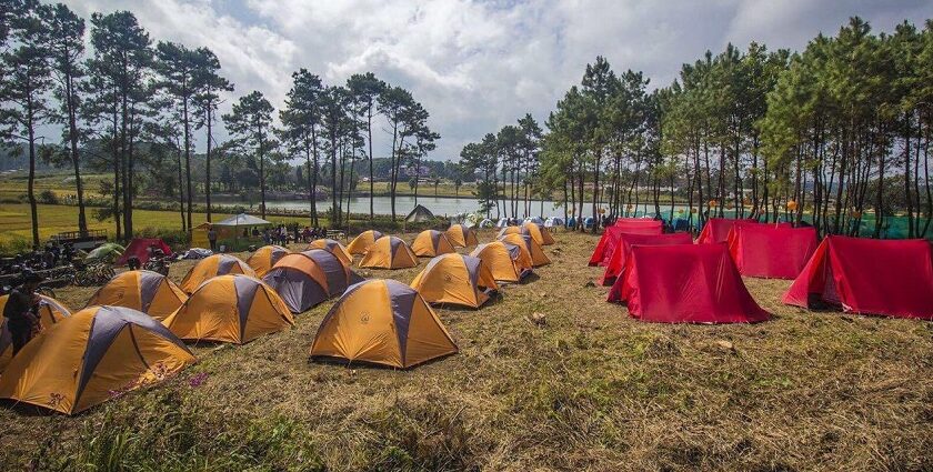 Campsite with tents, colourful lights, and festival atmosphere - camping in Meghalaya.