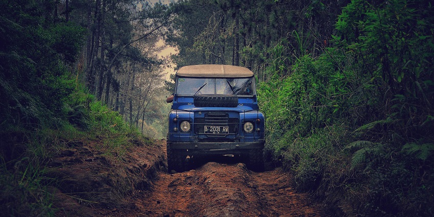 The snapshot of a jeep going through a dense forest of the Namdapha National Park