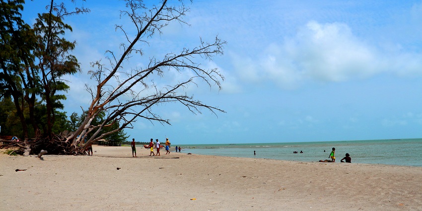 A serene view of Casuarina Beach featuring golden sands and gentle waves under clear sky.