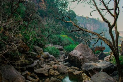 A breathtaking view of an opening of a cave with a small stream of water flowing through.