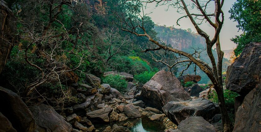 A breathtaking view of an opening of a cave with a small stream of water flowing through.