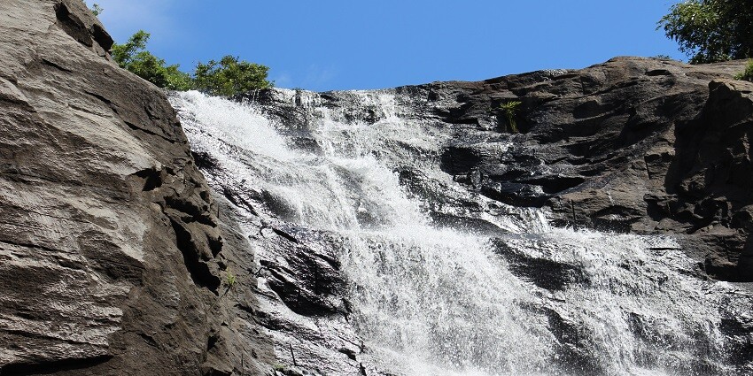 Chadwick Falls provides a tranquil haven in the middle of nature, encircled by thick trees.