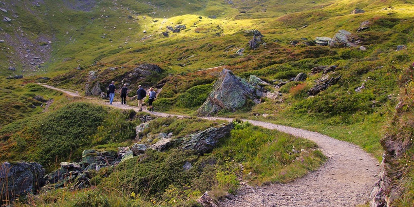 Tourist walking a trekking trail amidst vast verdant landscapes
