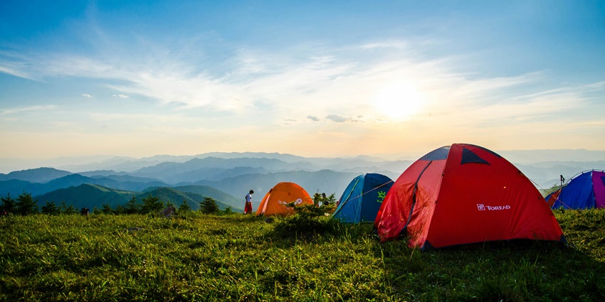 Spend time in nature while camping at Chail Adventure Camp, Himachal Pradesh.