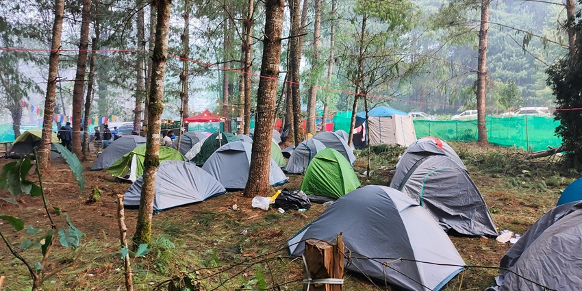 An image of Chail Wildlife Sanctuary Campsite, a place for camping in Chail.