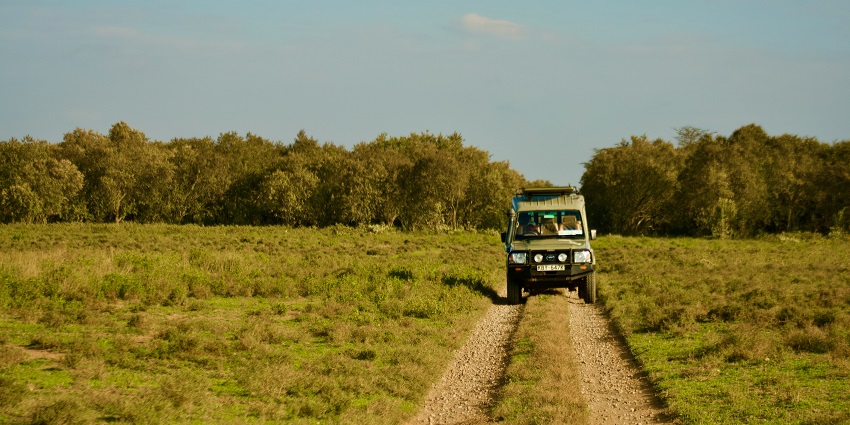 The Chakrashila Wildlifе Sanctuary address is adjacent to the Dhubri district of Assam.
