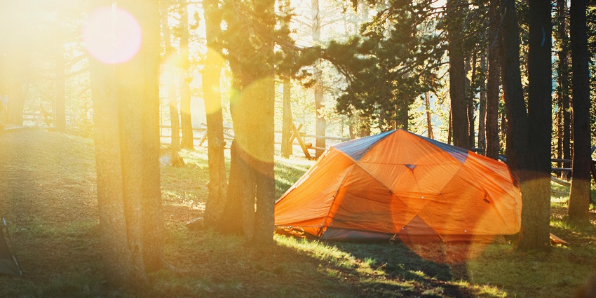 A breathtaking view of an orange dome tent amidst a lush green forest during the daytime.