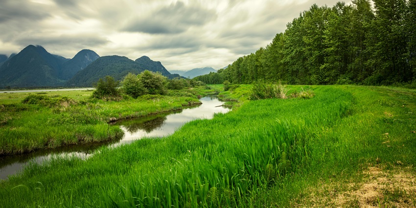 Trek through the lush green landscapes of Chalal village located in Himachal Pradesh.