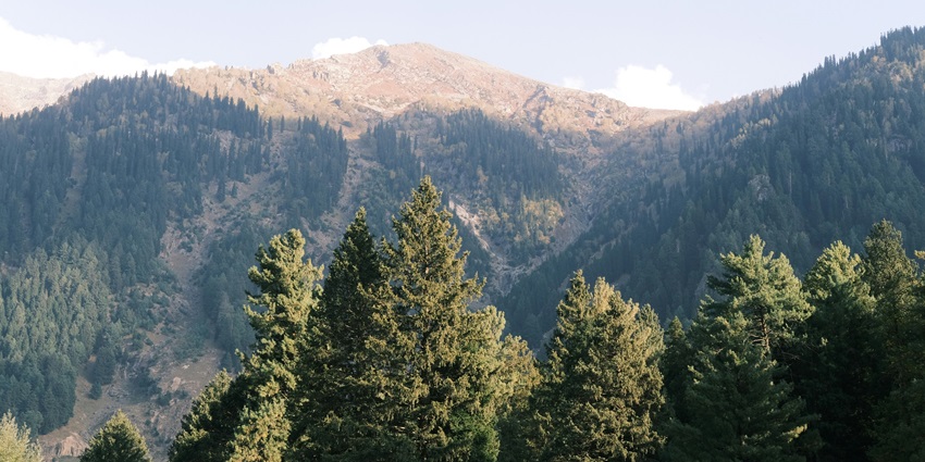 One of the most sacred places to visit around Betaab Valley in March is Chandanwari.