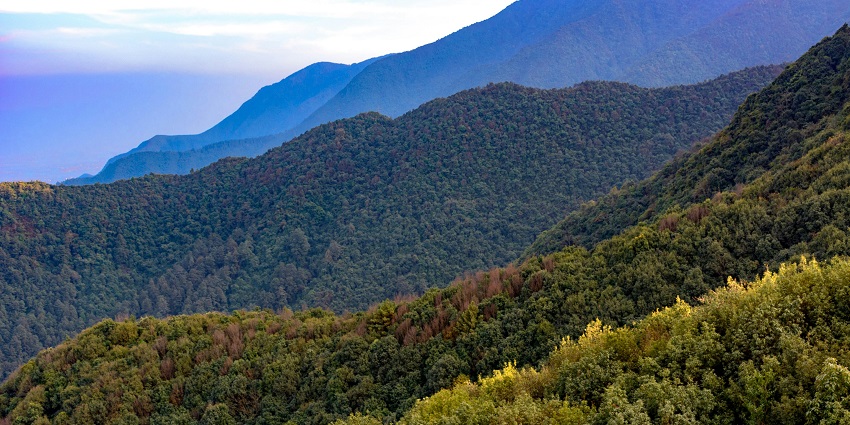 Chandragiri is one of the most picturesque hill stations near Odisha for all tourists.