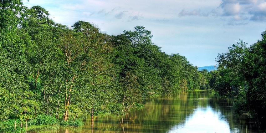 Chapanala town is very near to the main destination and is spectacular in itself.