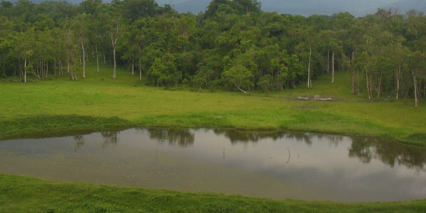 This wildlife sanctuary houses diverse range of species like asian elephant and indian bison