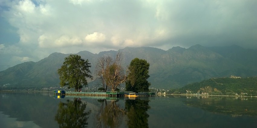 Char Chinar is an island in Dal Lake that lies near the Hokersar Wildlife Sanctuary