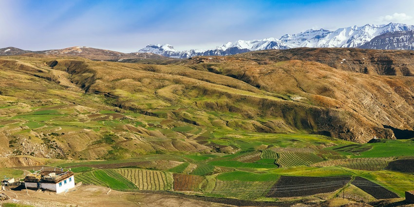 Panoramic view of vast lush landscapes offering sights of the snow capped Himalayan peaks