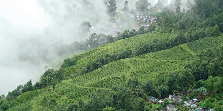 The gorgeous view of Chatakpur, is one of the places to visit in Darjeeling for couples.