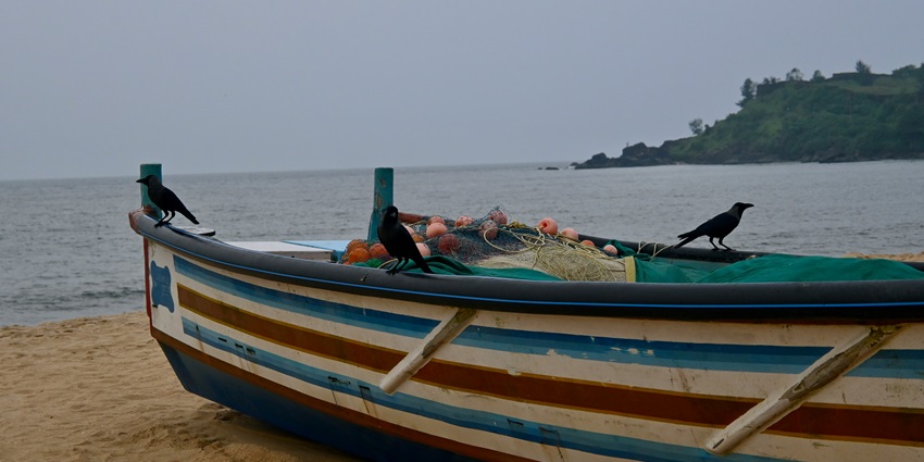 Relax and unwind at Chavakkad Beach, one of the calm beaches near Guruvayur, India.