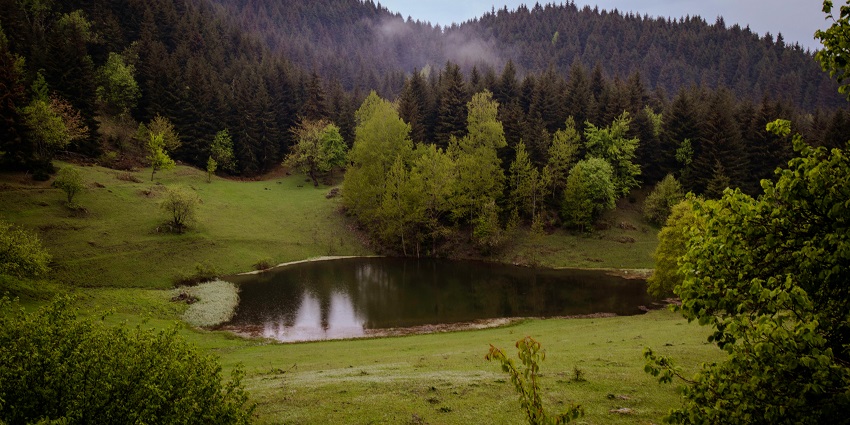 Take a soothing stroll in Chawngthu Eco Park, as one of the best things to do in Aizawl.